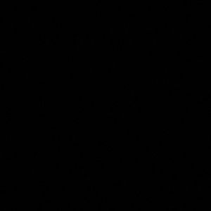 Meet your Posher, Lesley